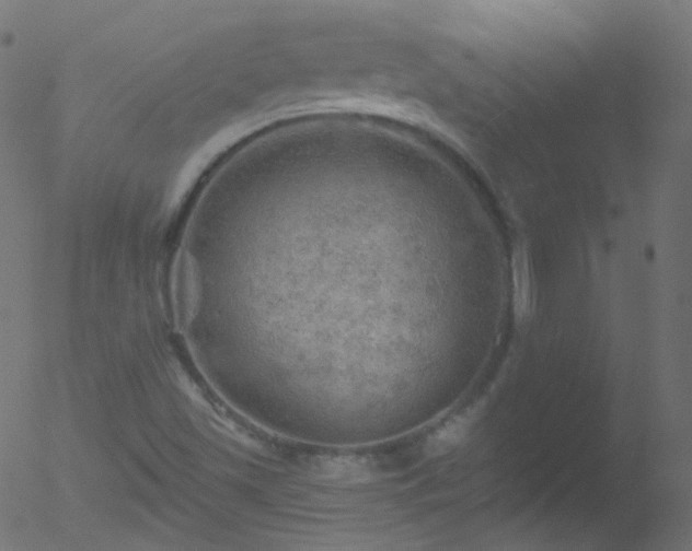 X0000052571501200507011207