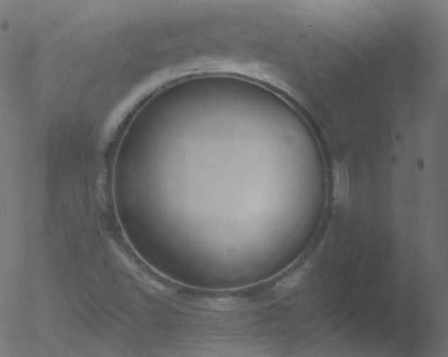 X0000052571502200507011207