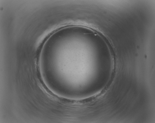 X0000052571503200507011207