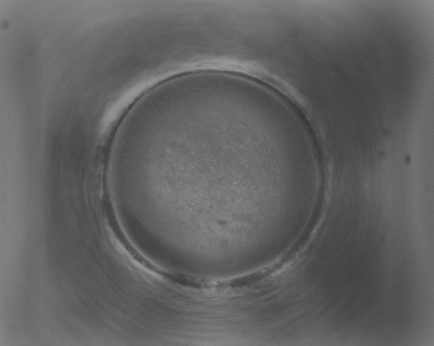 X0000052571504200507011207