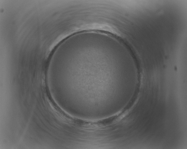 X0000052571505200507011207