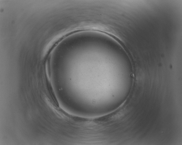 X0000052571507200507011207