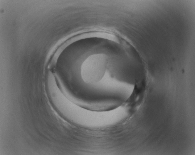 X0000052571508200507011207