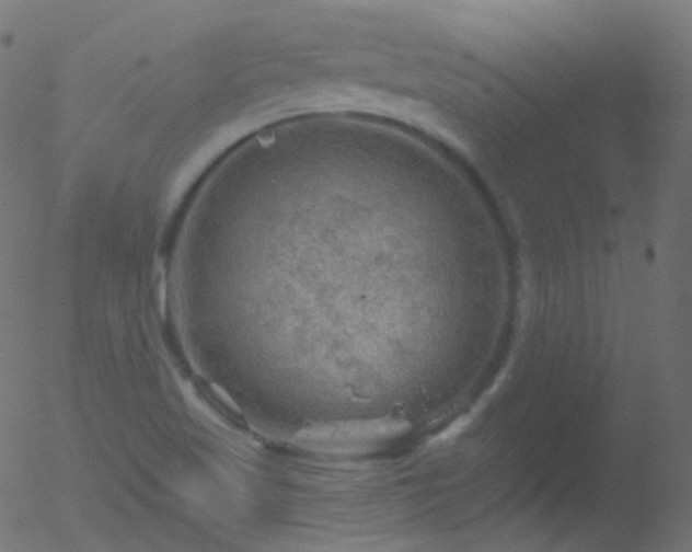 X0000052571509200507011207