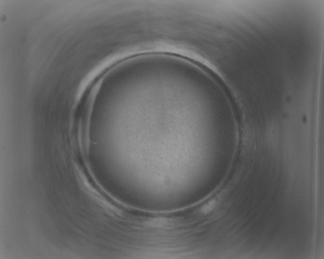 X0000052571510200507011207