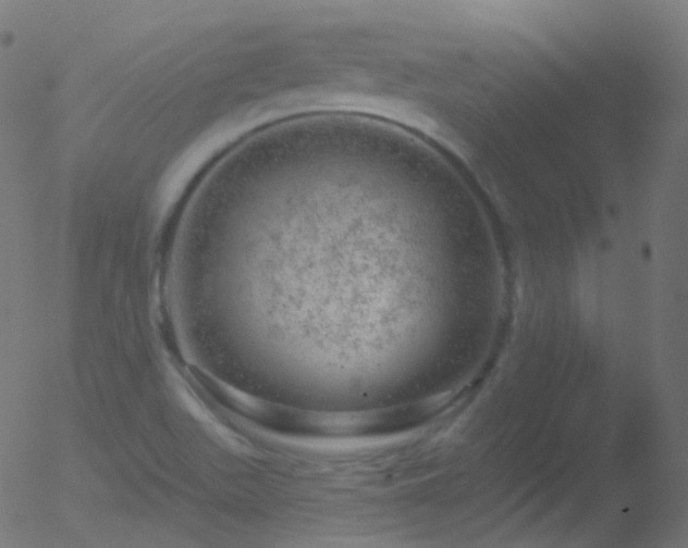 X0000052571511200507011208