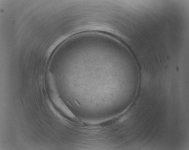 X0000052571513200507011208