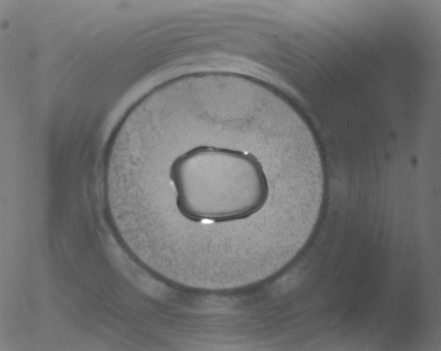 X0000052571514200507011208