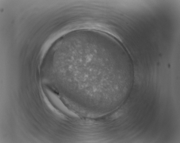 X0000052571515200507011208