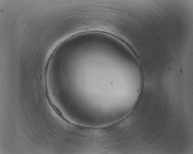 X0000052571516200507011208