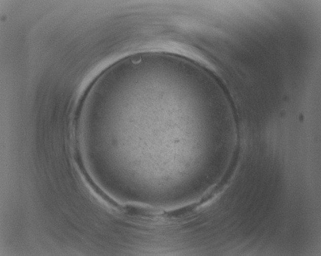 X0000052571517200507011208