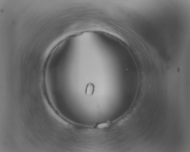 X0000052571518200507011208