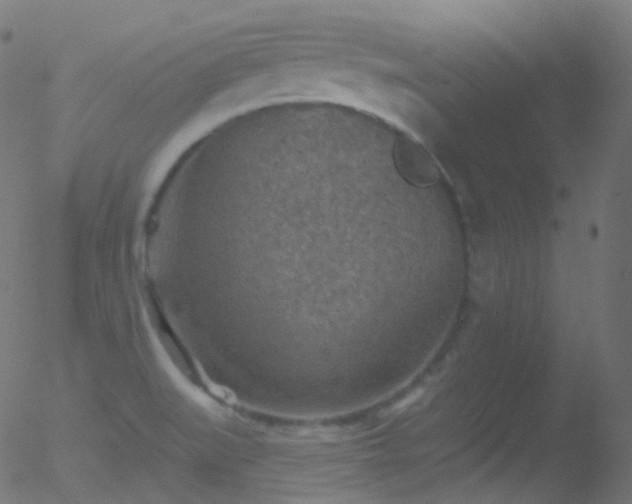 X0000052571519200507011208