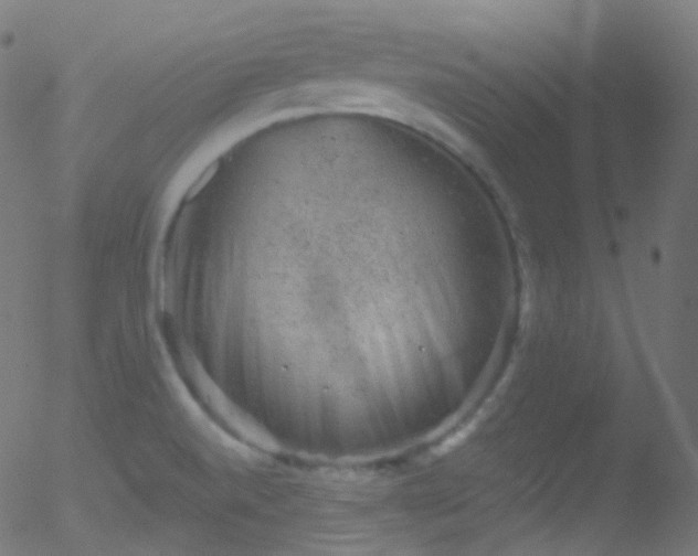 X0000052571520200507011208