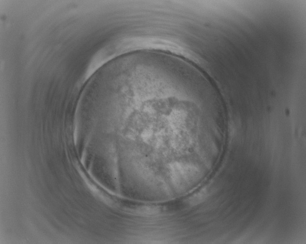 X0000052571521200507011208