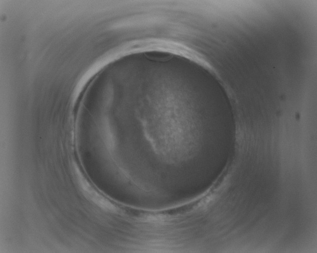 X0000052571522200507011208