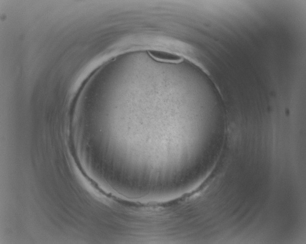 X0000052571523200507011208