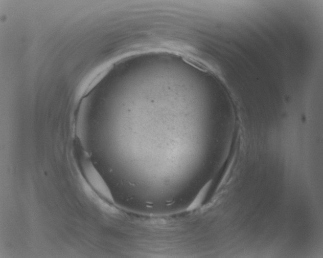 X0000052571524200507011208