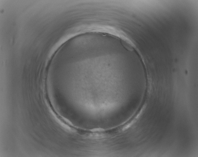 X0000052571525200507011208