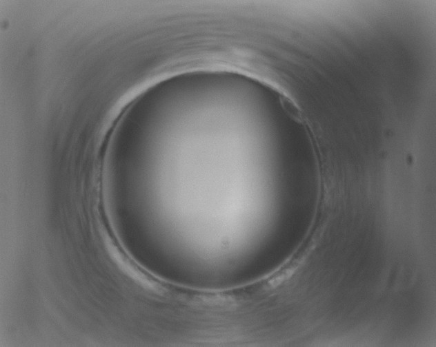 X0000052571526200507011208