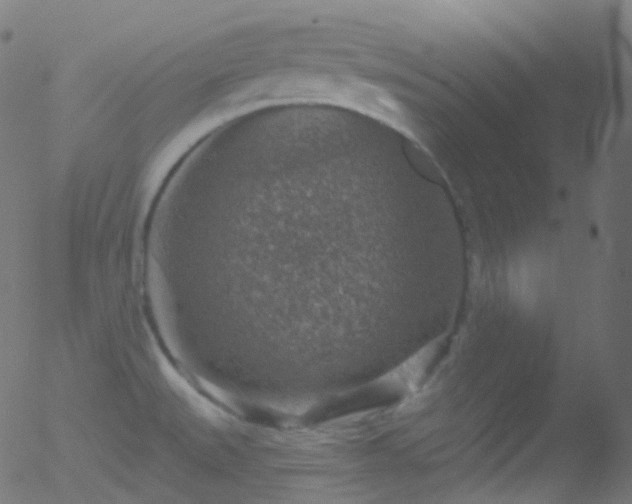 X0000052571527200507011208