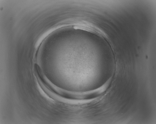 X0000052571528200507011208