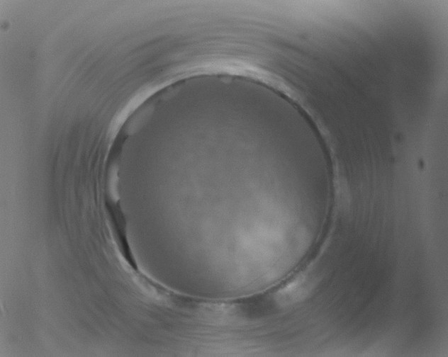 X0000052571529200507011208