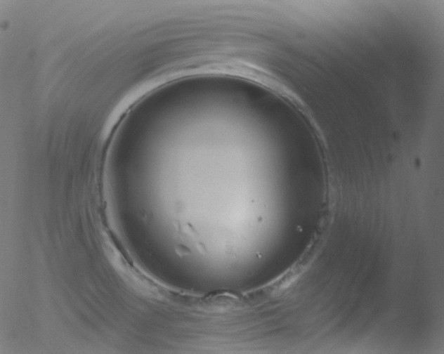 X0000052571530200507011208