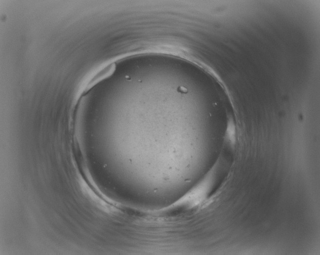 X0000052571532200507011208