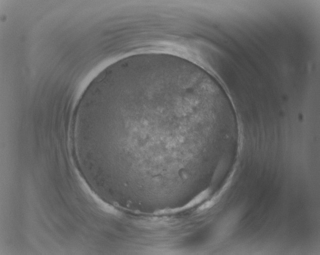 X0000052571533200507011208