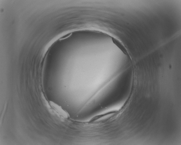 X0000052571534200507011208