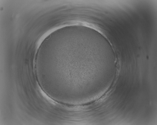 X0000052571535200507011208