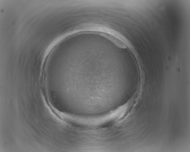 X0000052571536200507011208