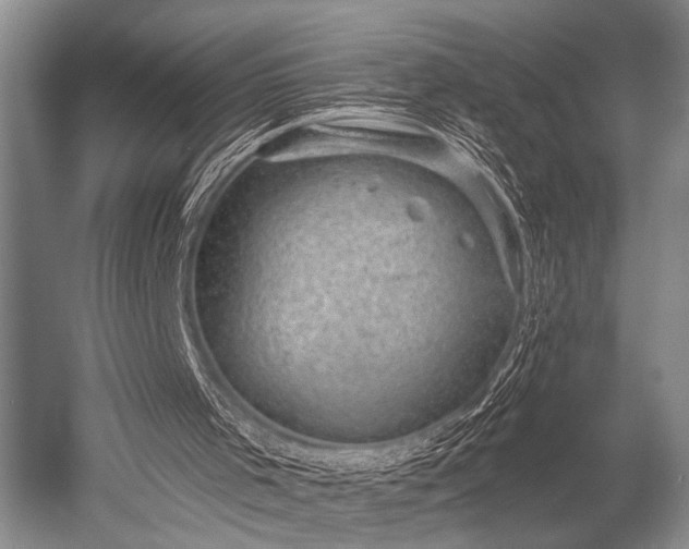 X0000052570001200507081714