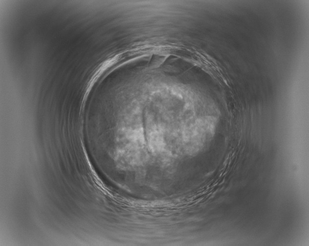 X0000052570003200507081714