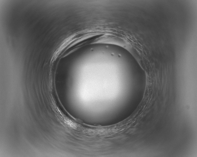 X0000052570005200507081714