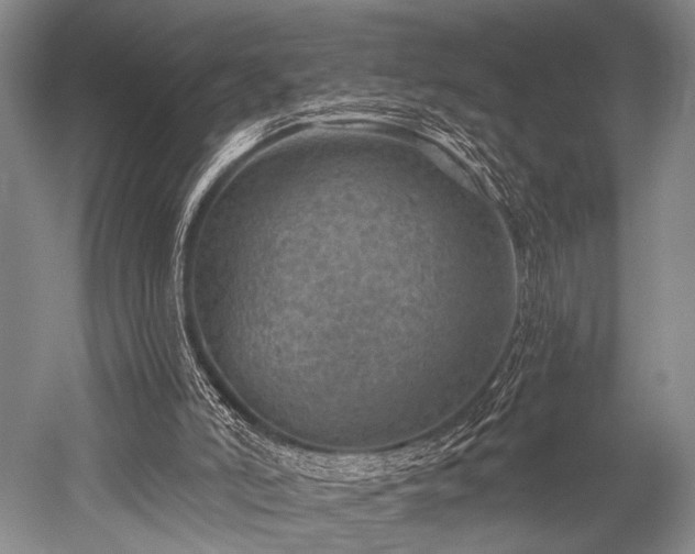 X0000052570006200507081714