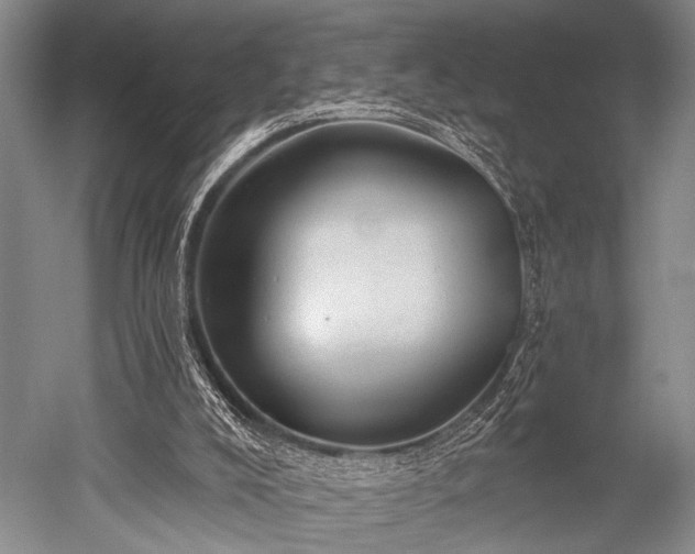 X0000052570008200507081714