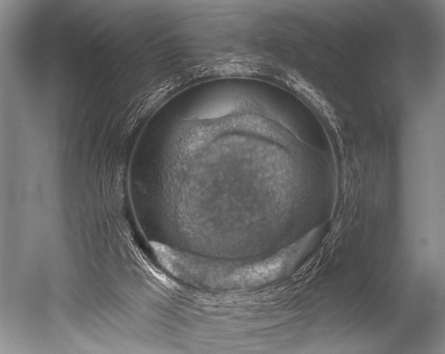 X0000052570009200507081714