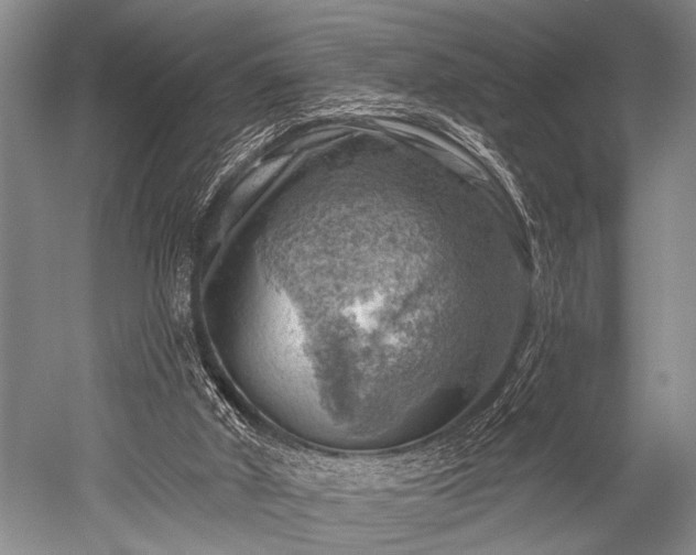 X0000052570010200507081714