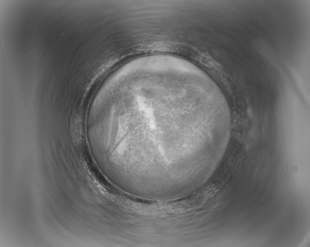 X0000052570012200507081714