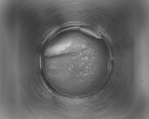 X0000052570014200507081714