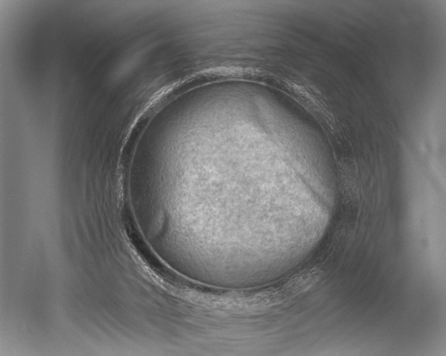 X0000052570016200507081714