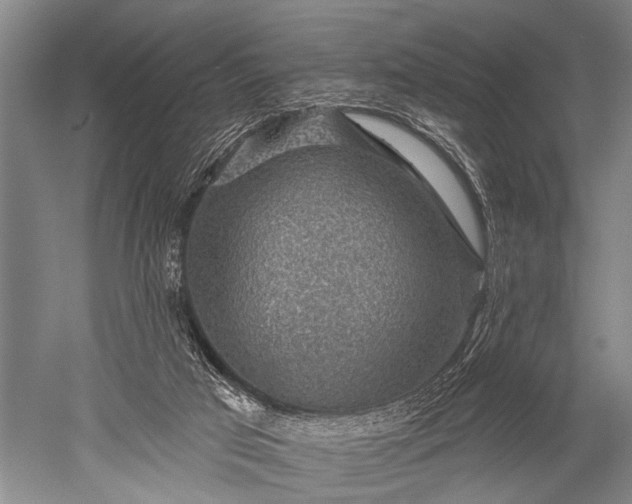 X0000052570017200507081713