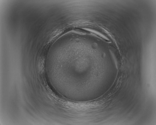 X0000052570018200507081713