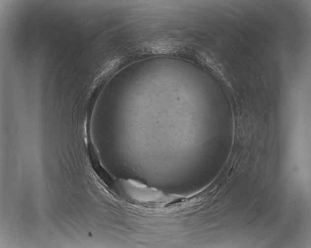 X0000052570019200507081713