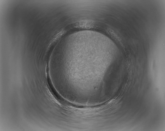 X0000052570020200507081713