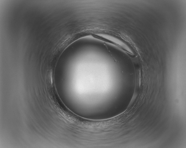 X0000052570021200507081713