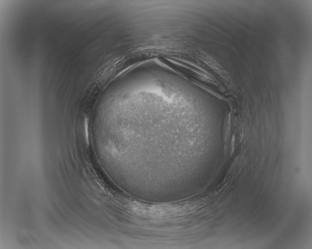 X0000052570022200507081713