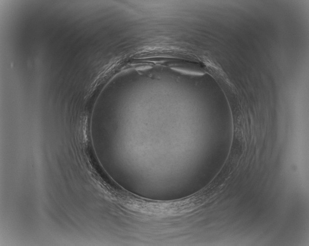 X0000052570023200507081713